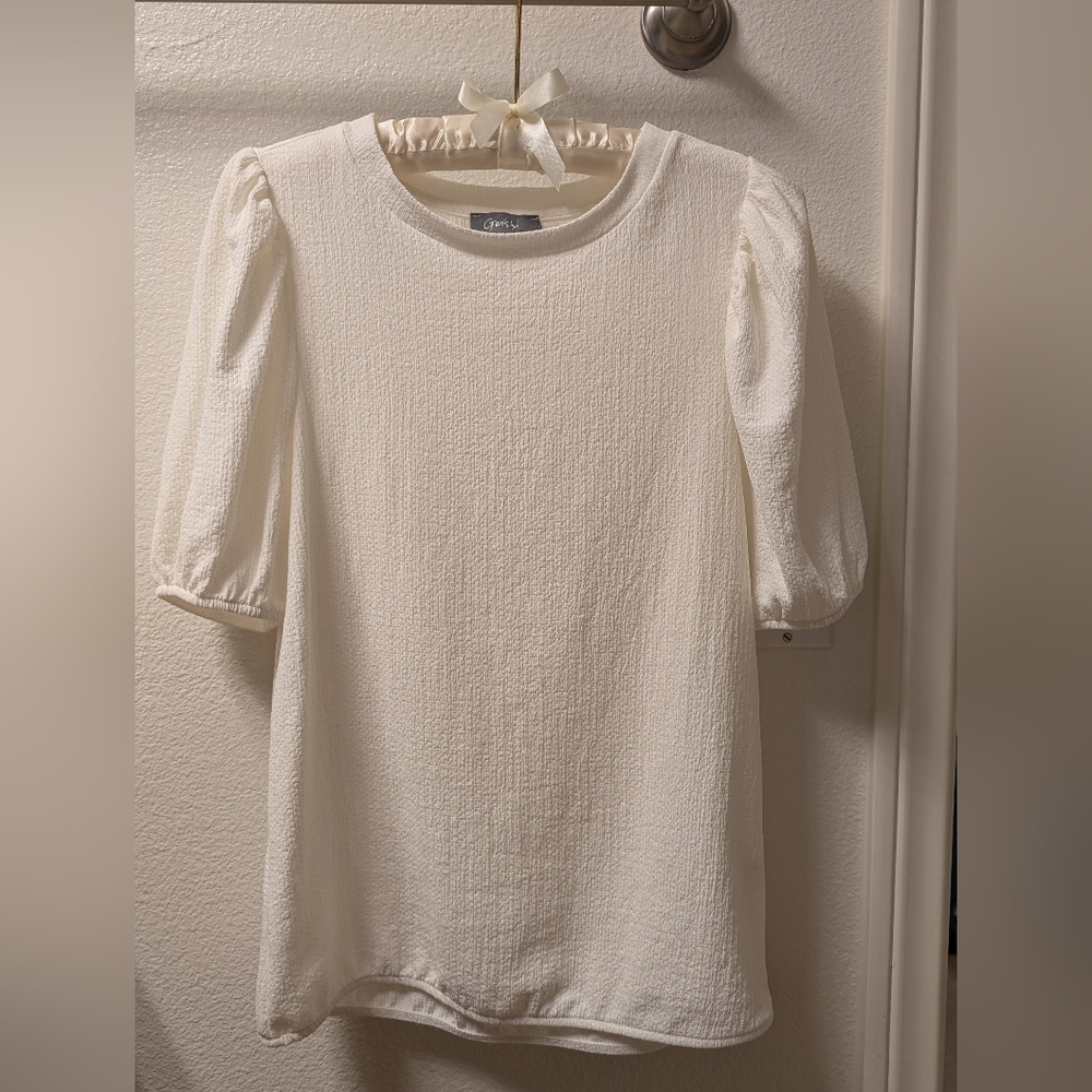 Textured puffy sleeve top